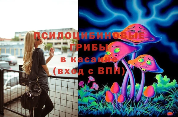 мяу мяу мука Аркадак